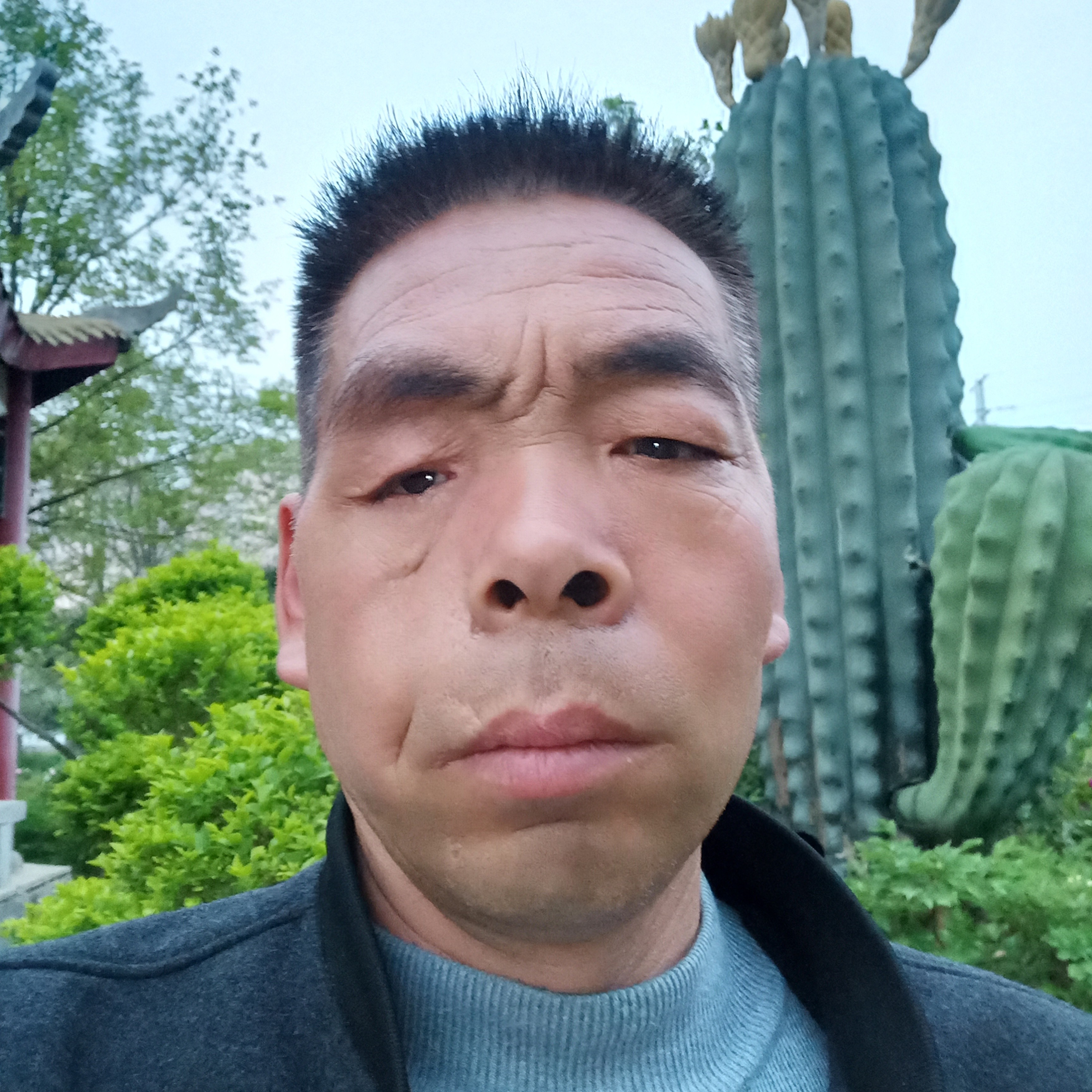 羽毛相许默默的照片
