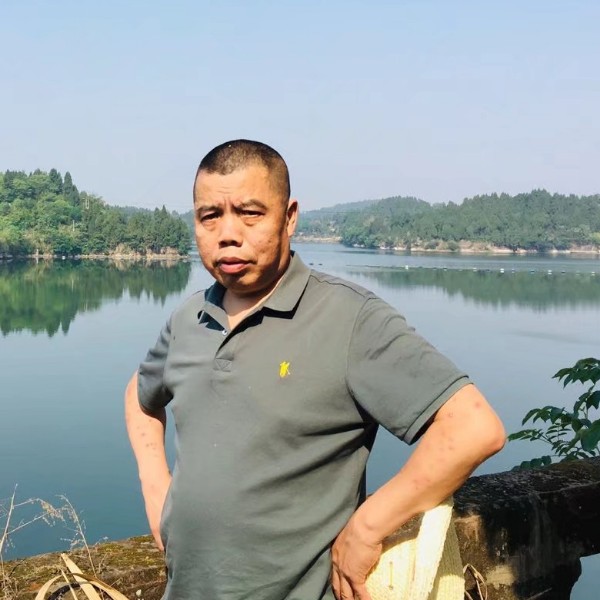 秀丽改变刺猬的照片