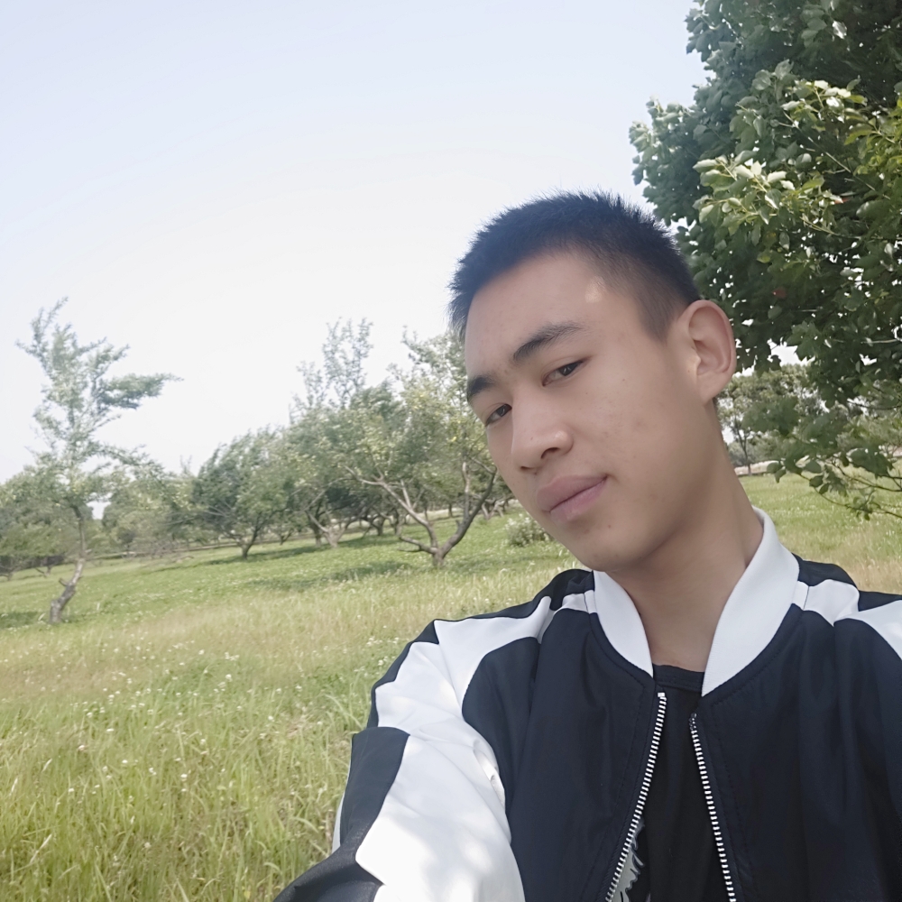 哈密瓜迎玩命的照片