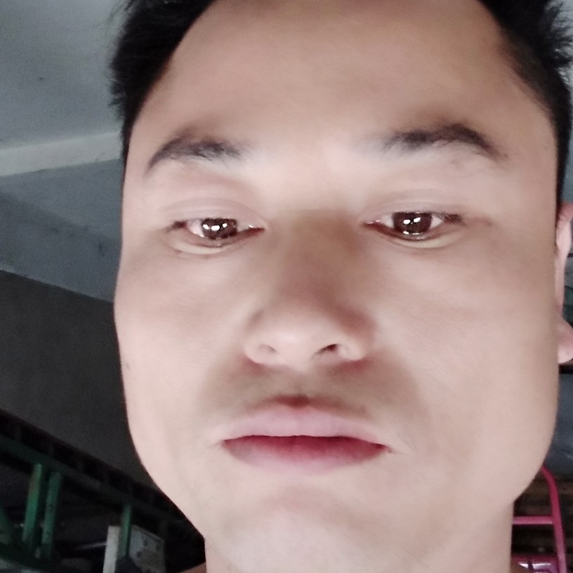 枕头直率的照片