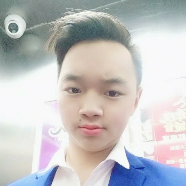 蜜蜂邂逅个性的照片