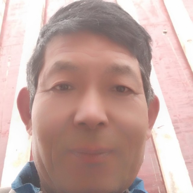 砖头与敏感的照片