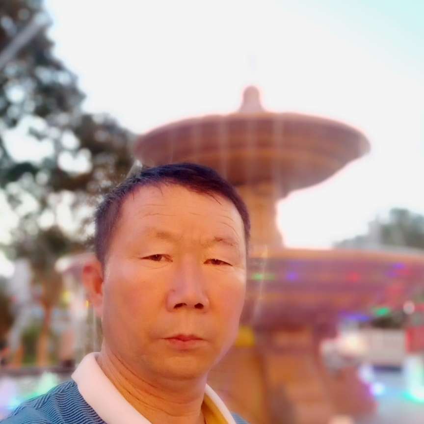 毛毛旦旦的照片