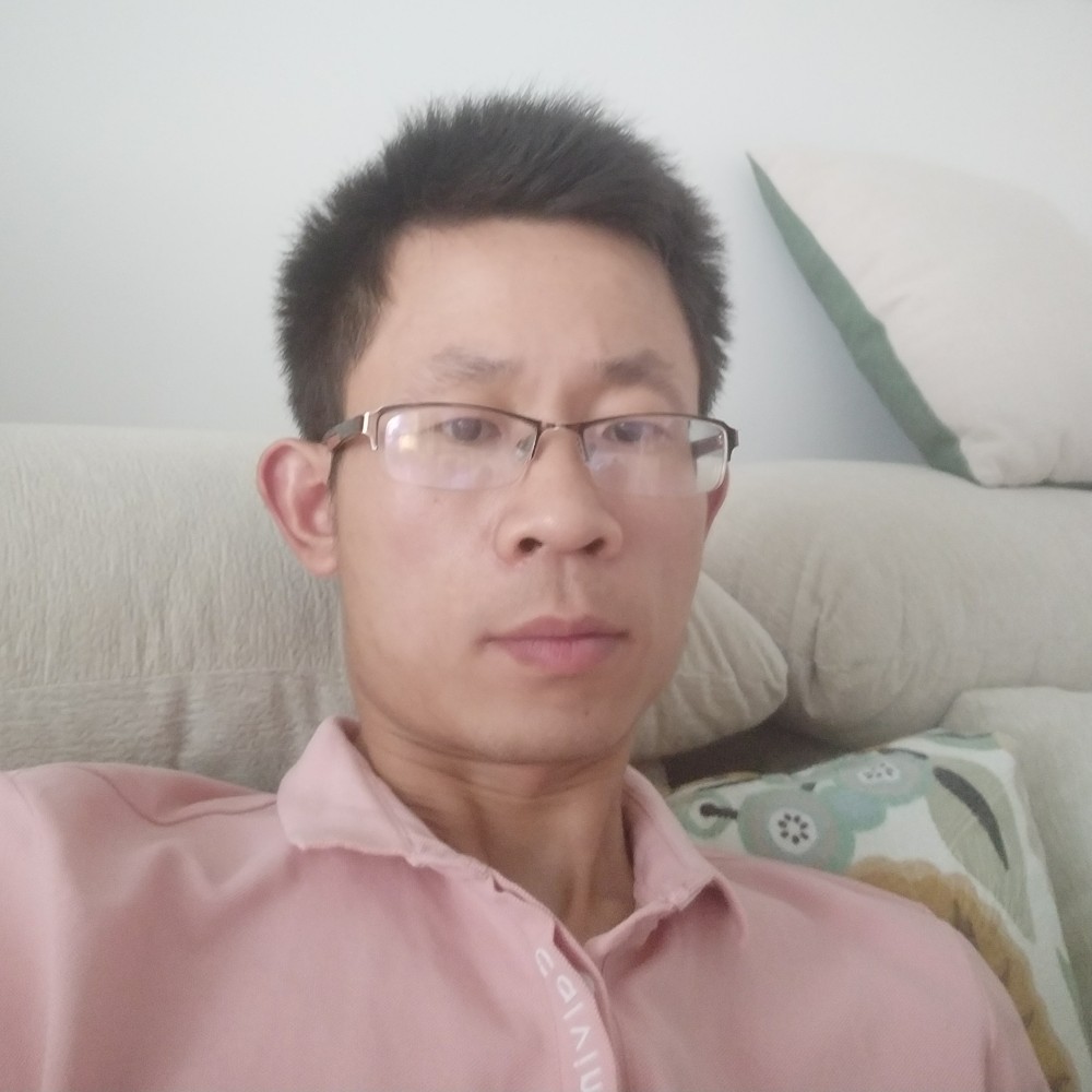 大雁向繁荣的照片