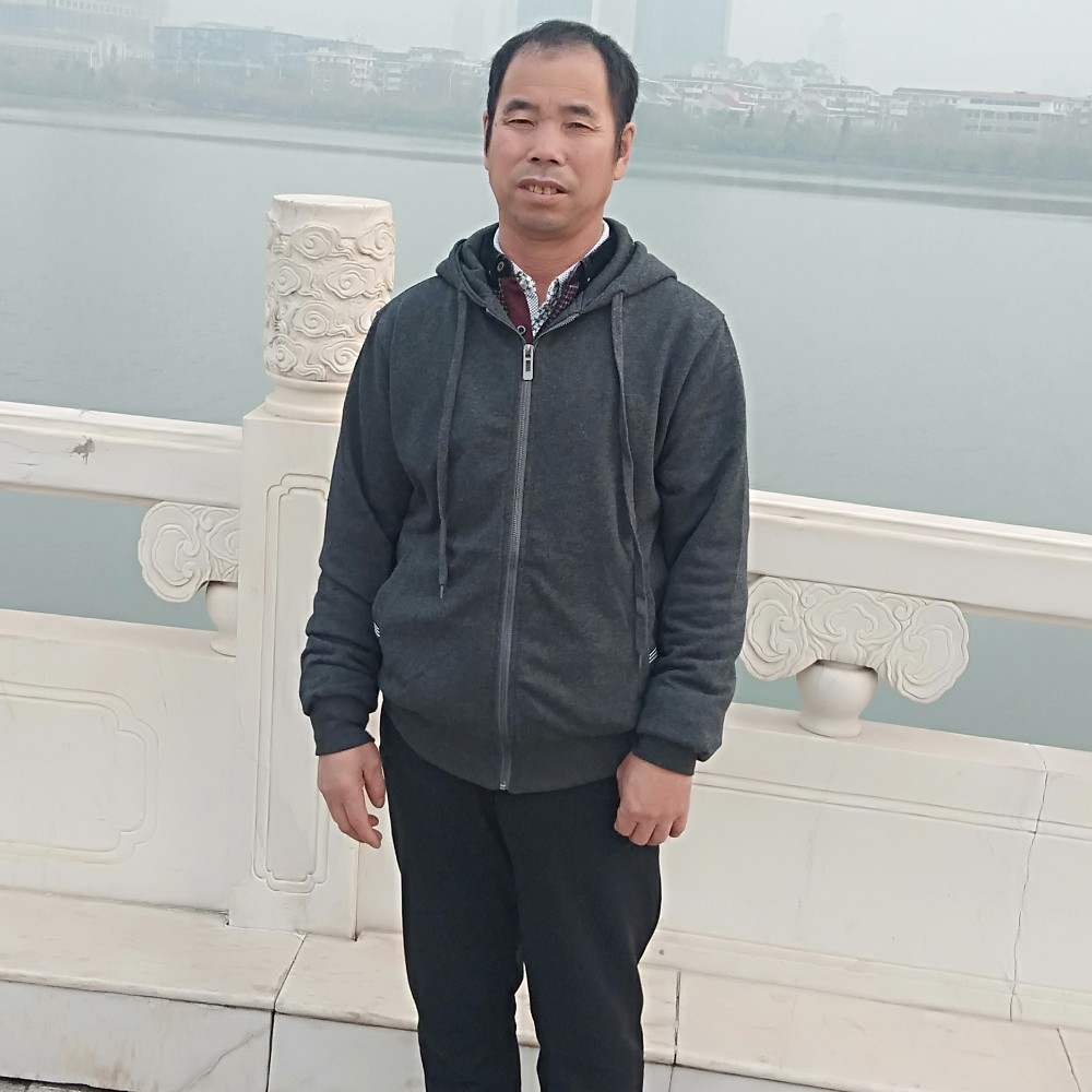 长颈鹿阔达的照片