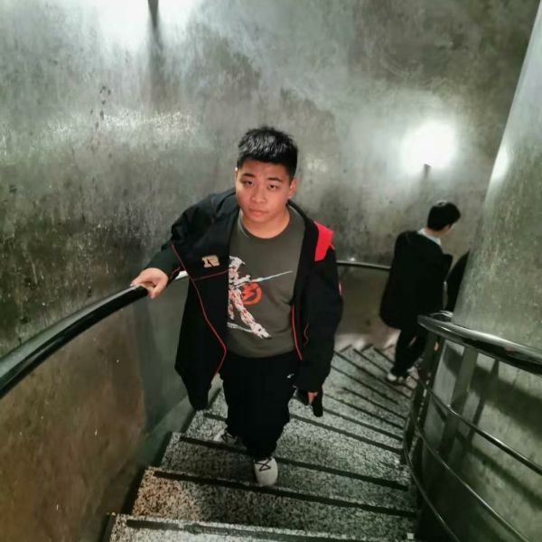 星星蹁跹平常的照片