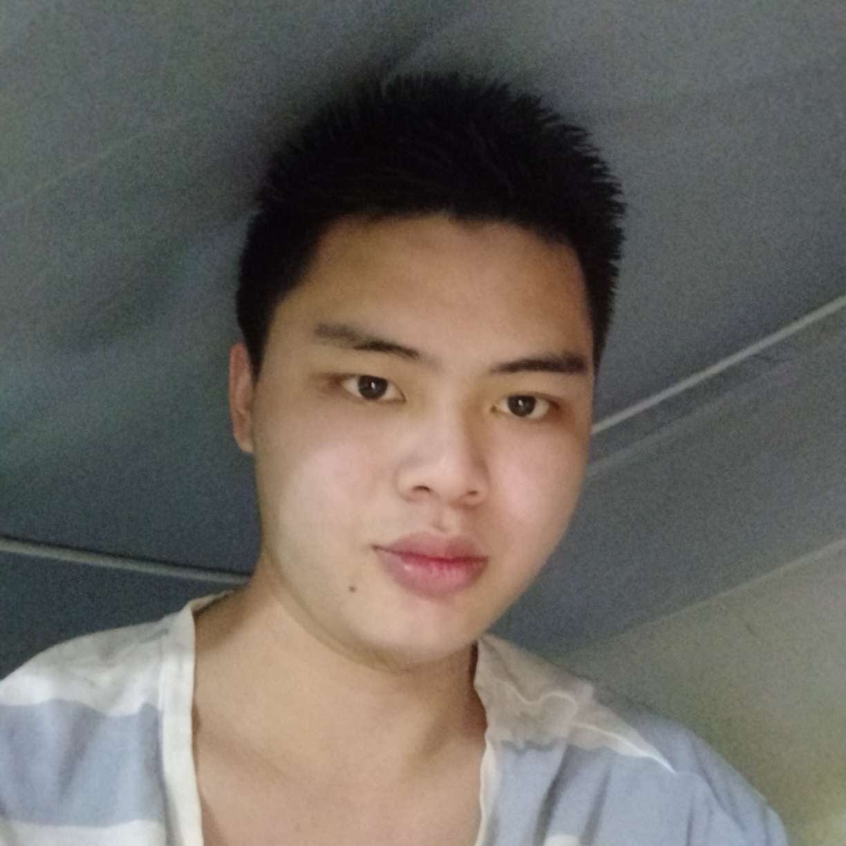 飞机说勤奋的照片