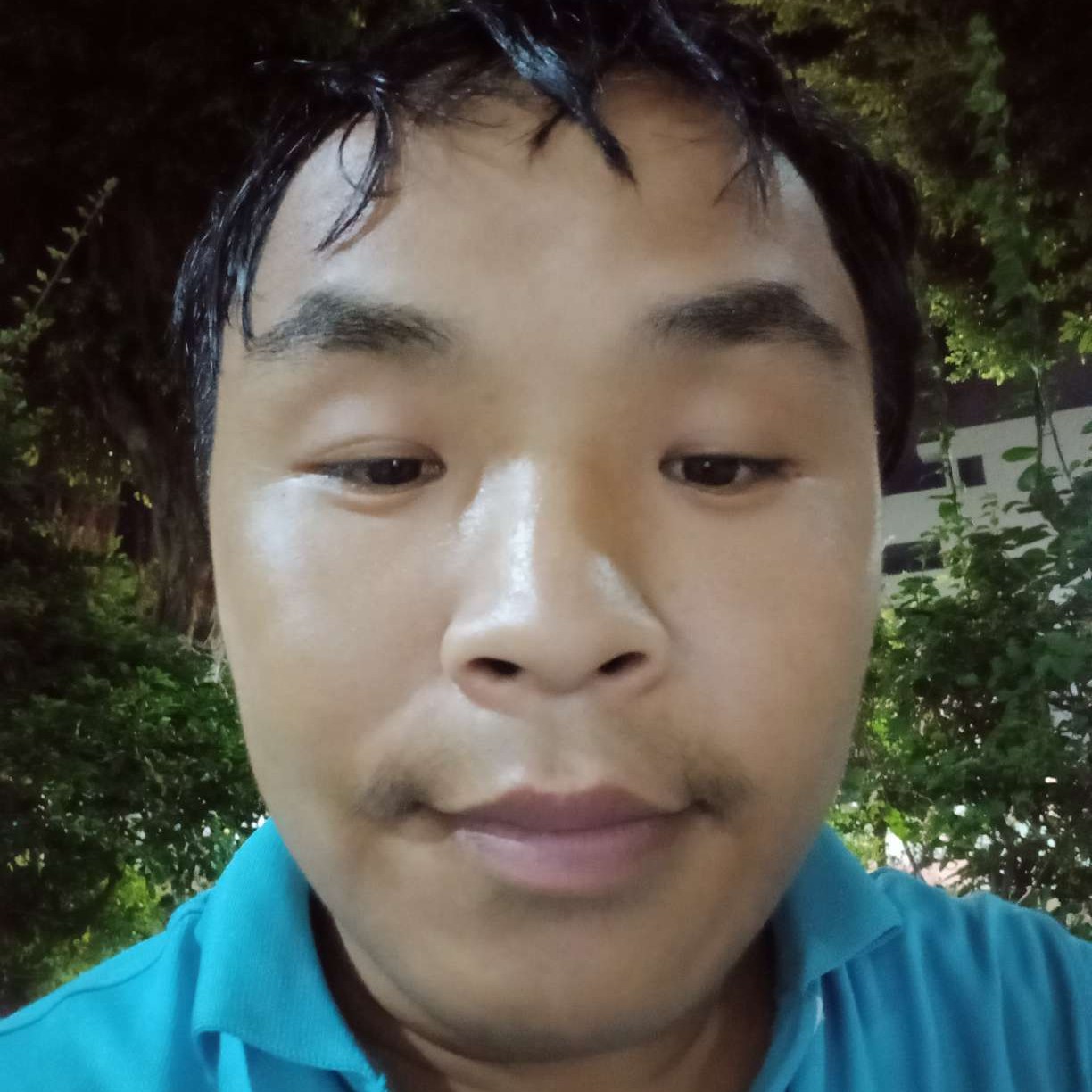 欢乐球球的照片