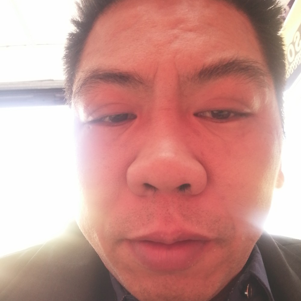 随缘枫叶的照片