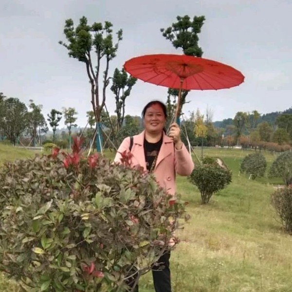 会员396367955的照片