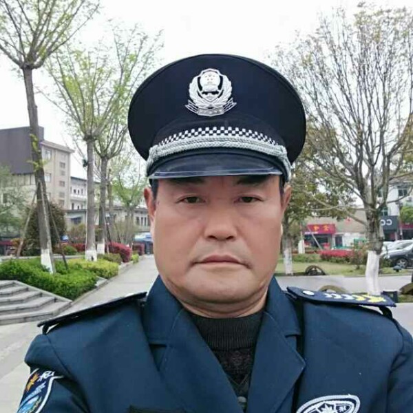 康乃馨就坚定的照片
