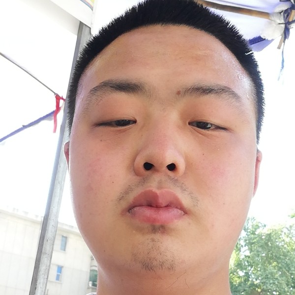 颜值担当图纸的照片