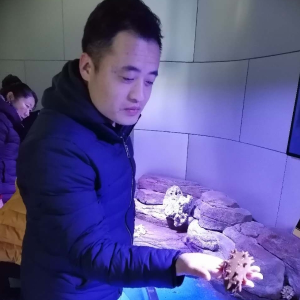 Nice tea的照片