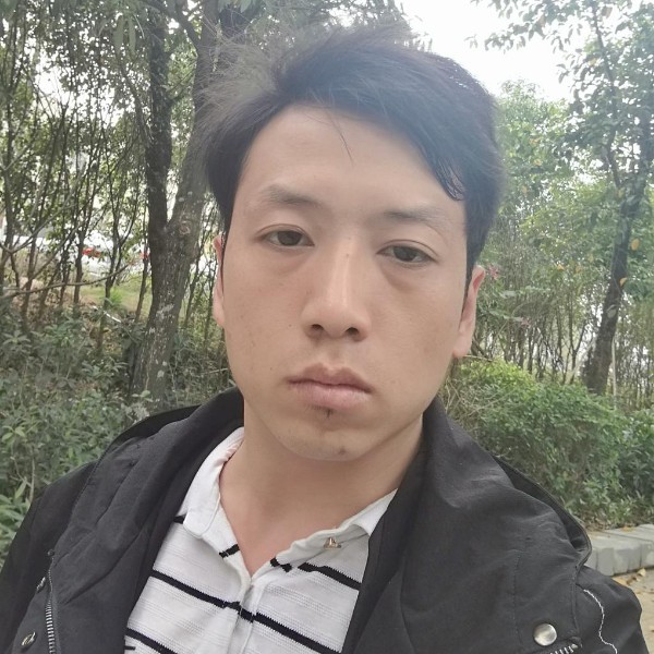 像风一样~的照片