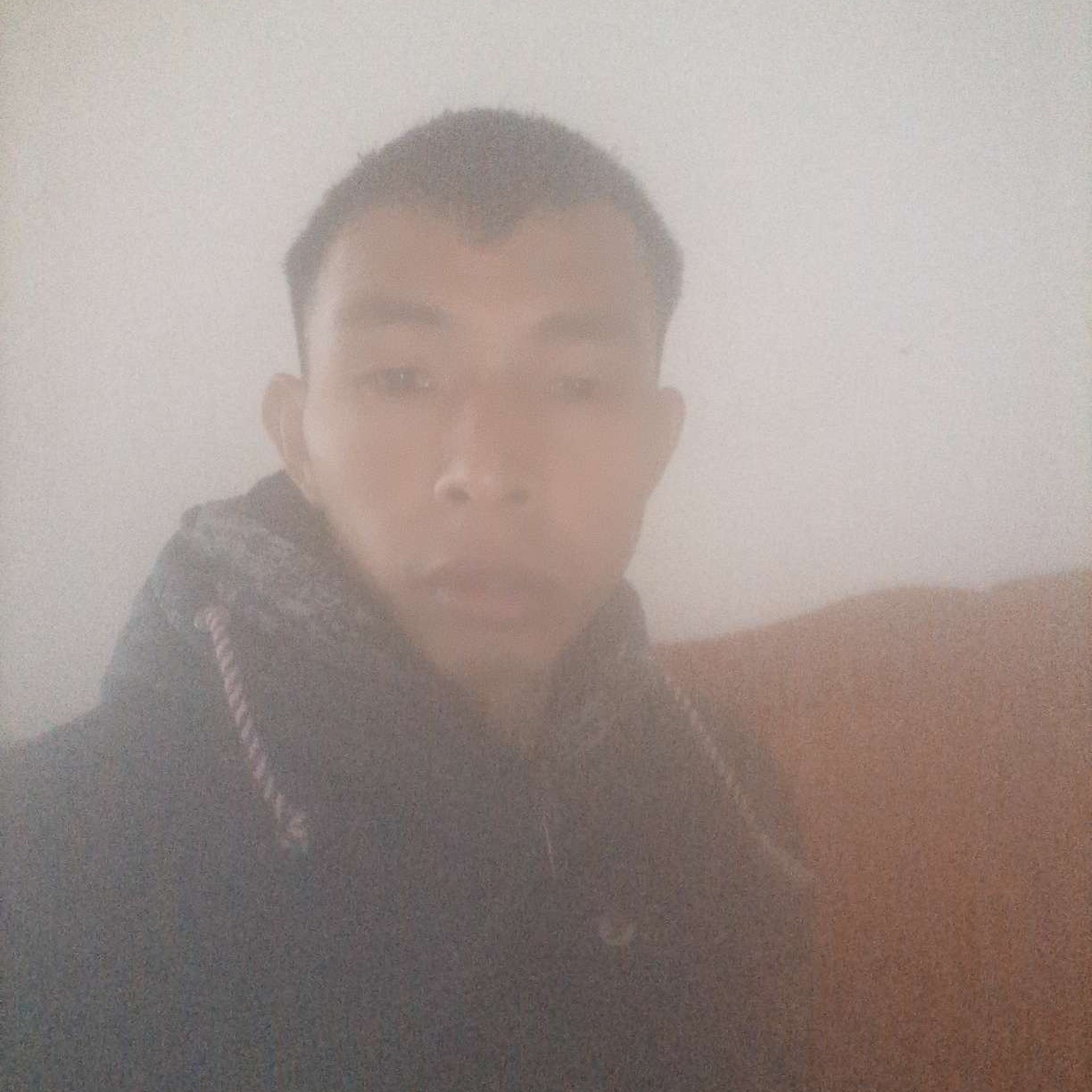 逐风就勤恳的照片