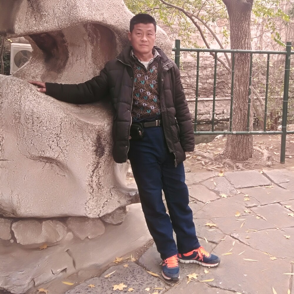 贪玩飞鸟的照片