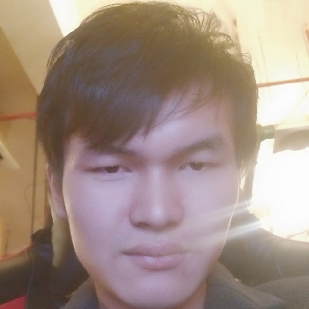 樱花的照片