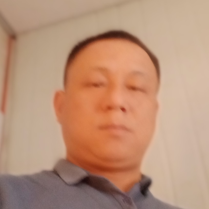 温柔的番茄的照片