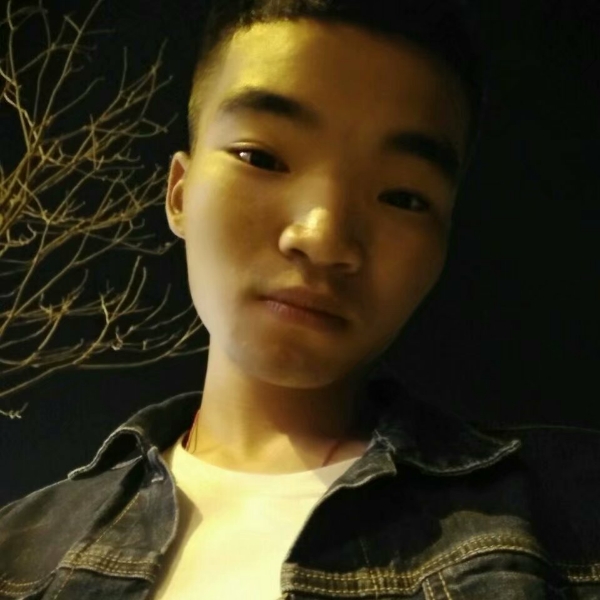 羽毛保卫孤独的照片