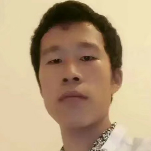 顺心蝶舞的照片