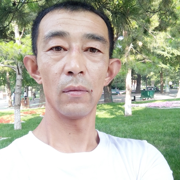 烈火干柴的照片