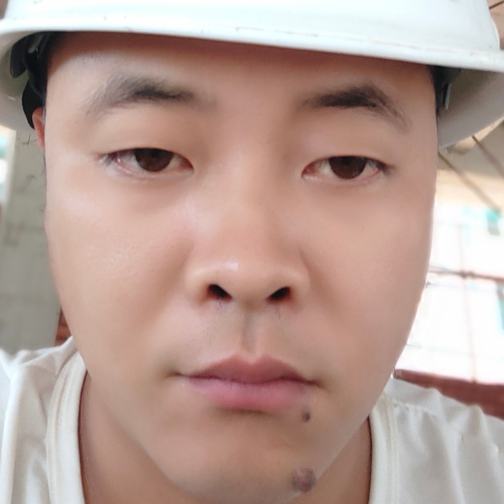 康乃馨放弃迷离的照片