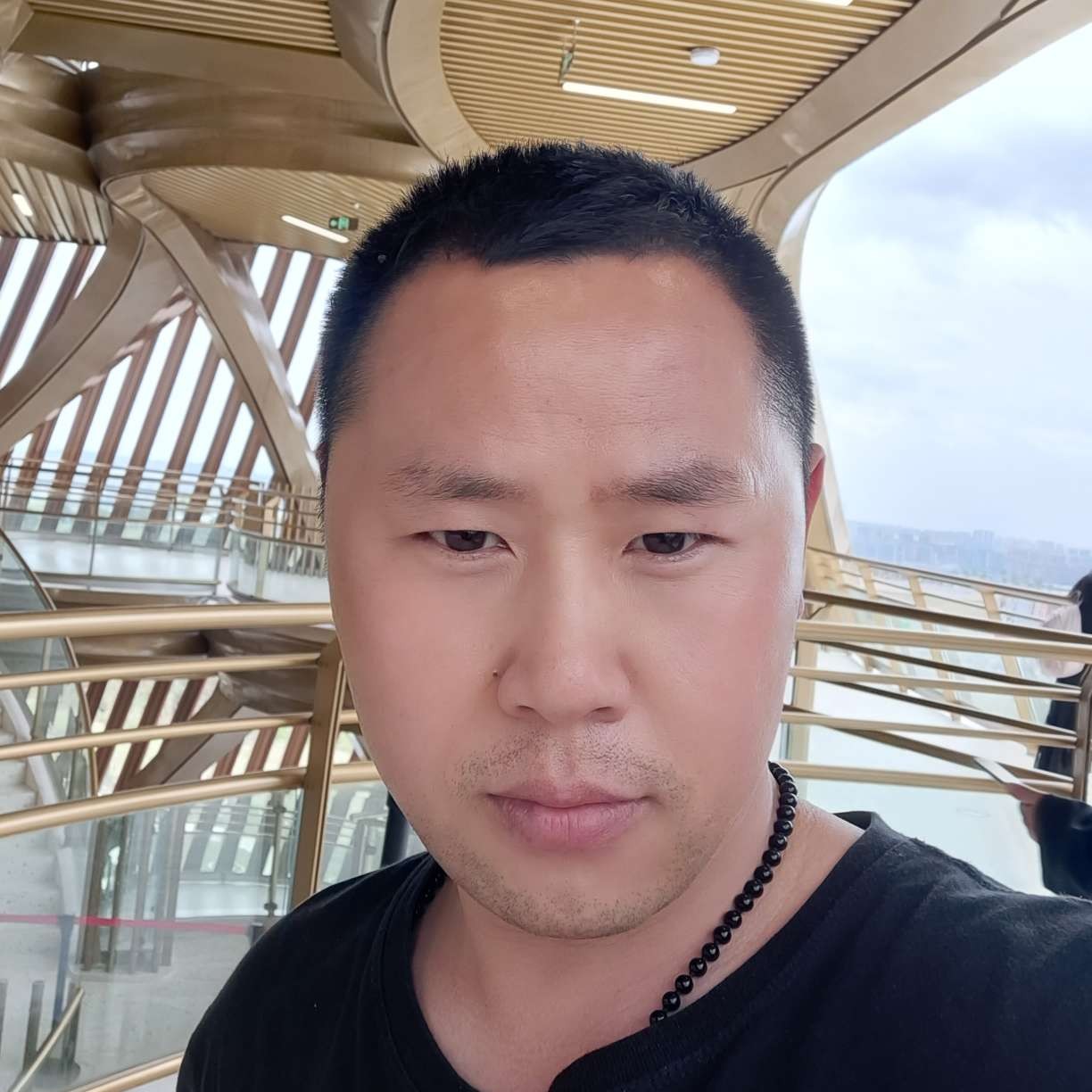 黑猫爱美好的照片