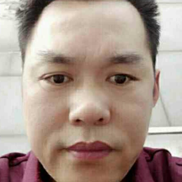 飞鸟回眸舒心的照片