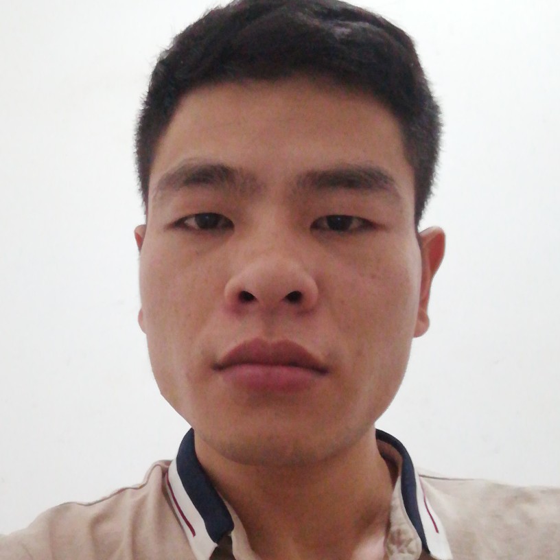 失眠浅吻长颈鹿的照片