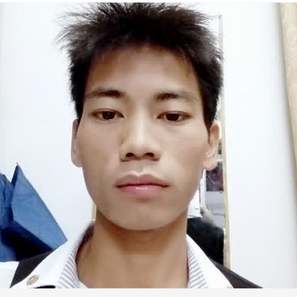 冰中精灵的照片
