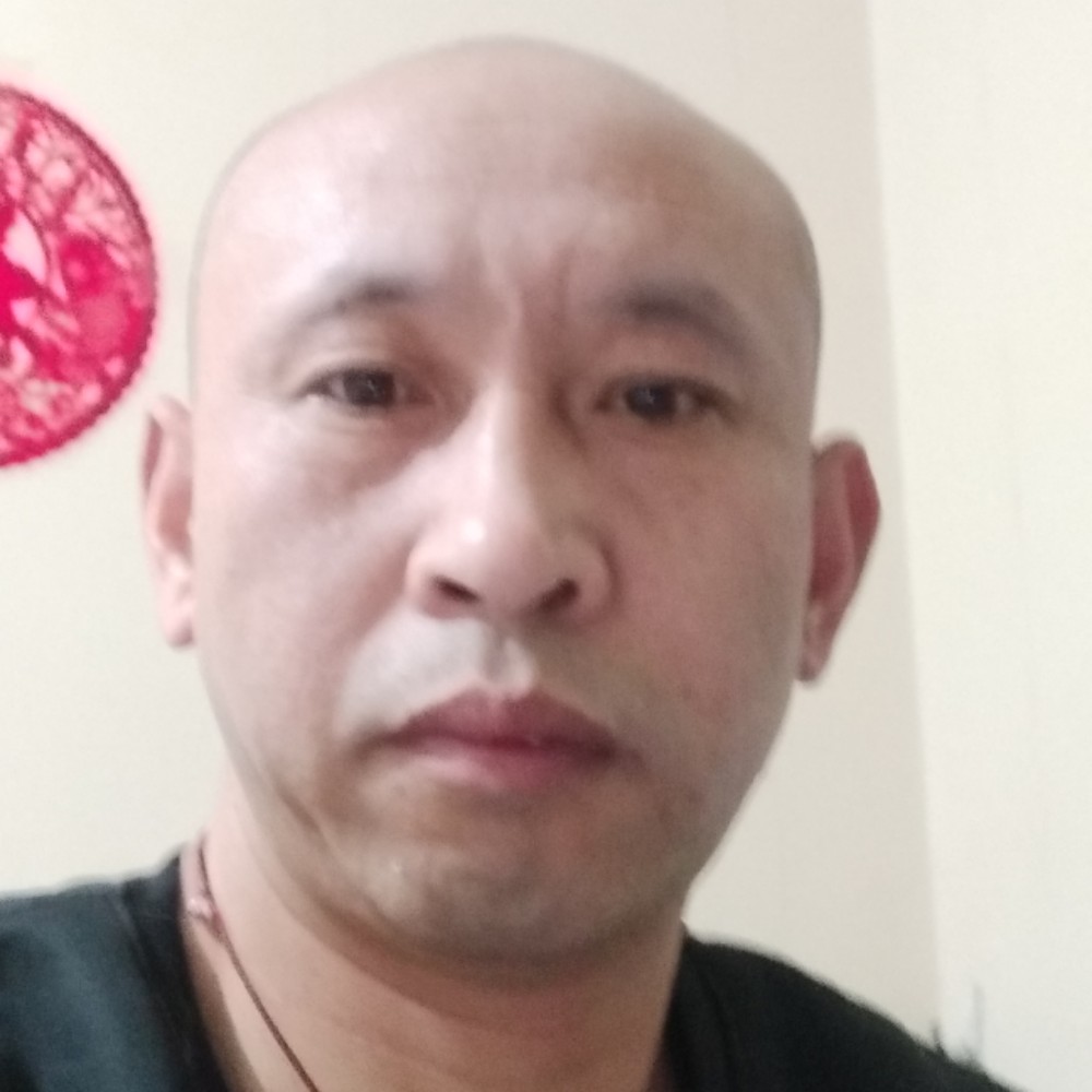 夜猫打洞的照片