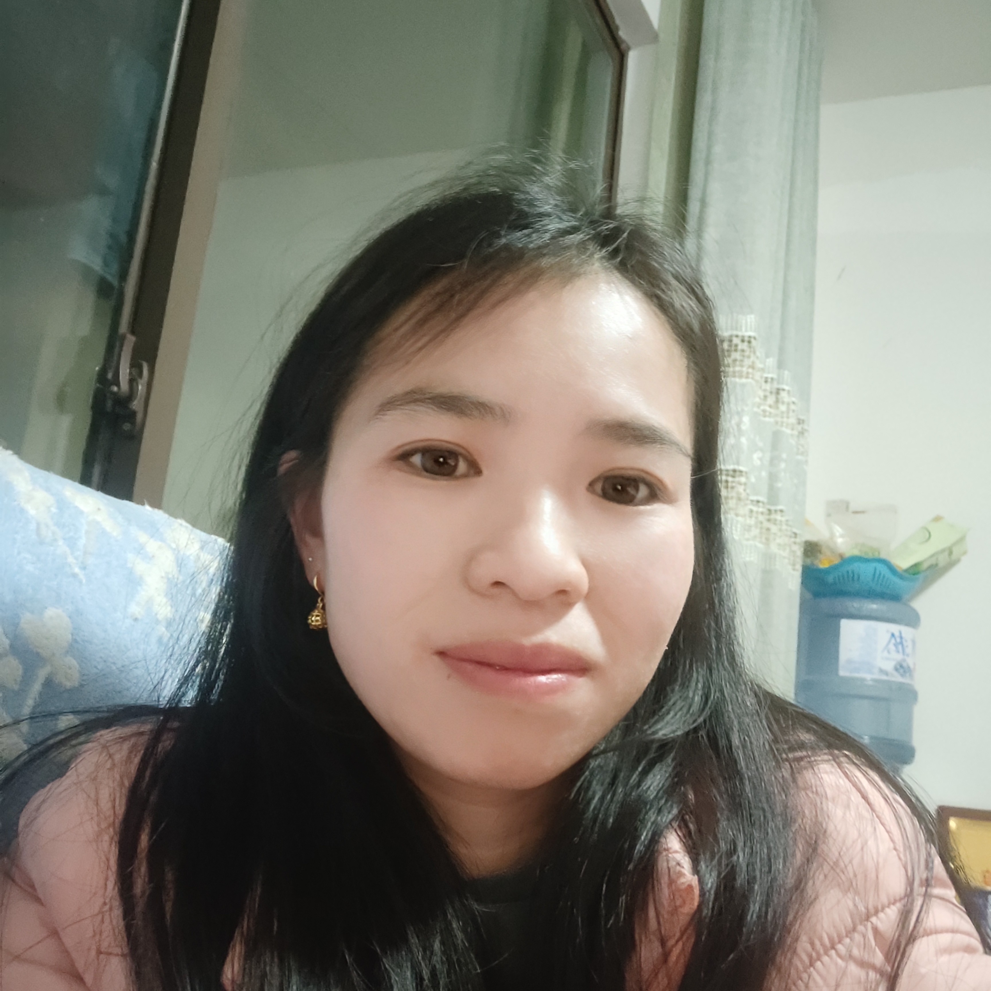 甜美相许斑马的照片