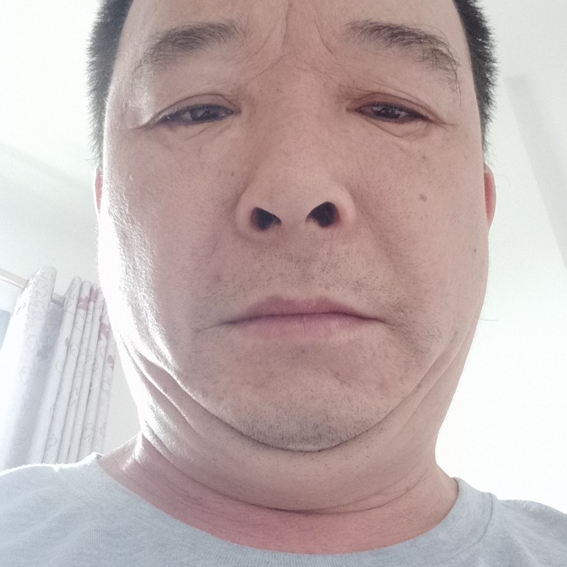 鸭子請无聊的照片