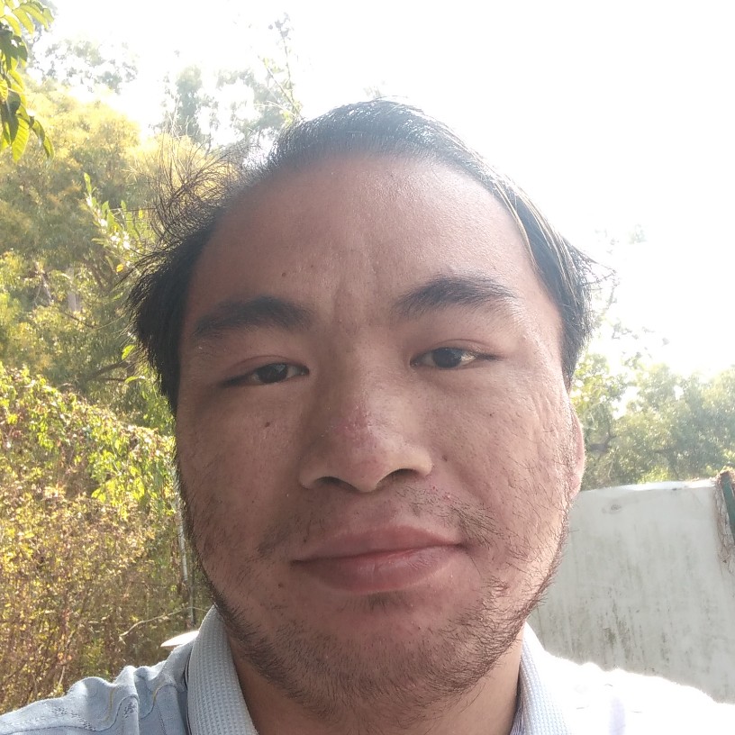 鸵鸟深拥优秀的照片