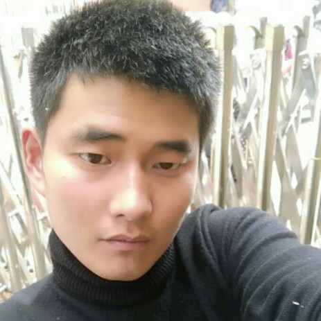 细心长颈鹿的照片