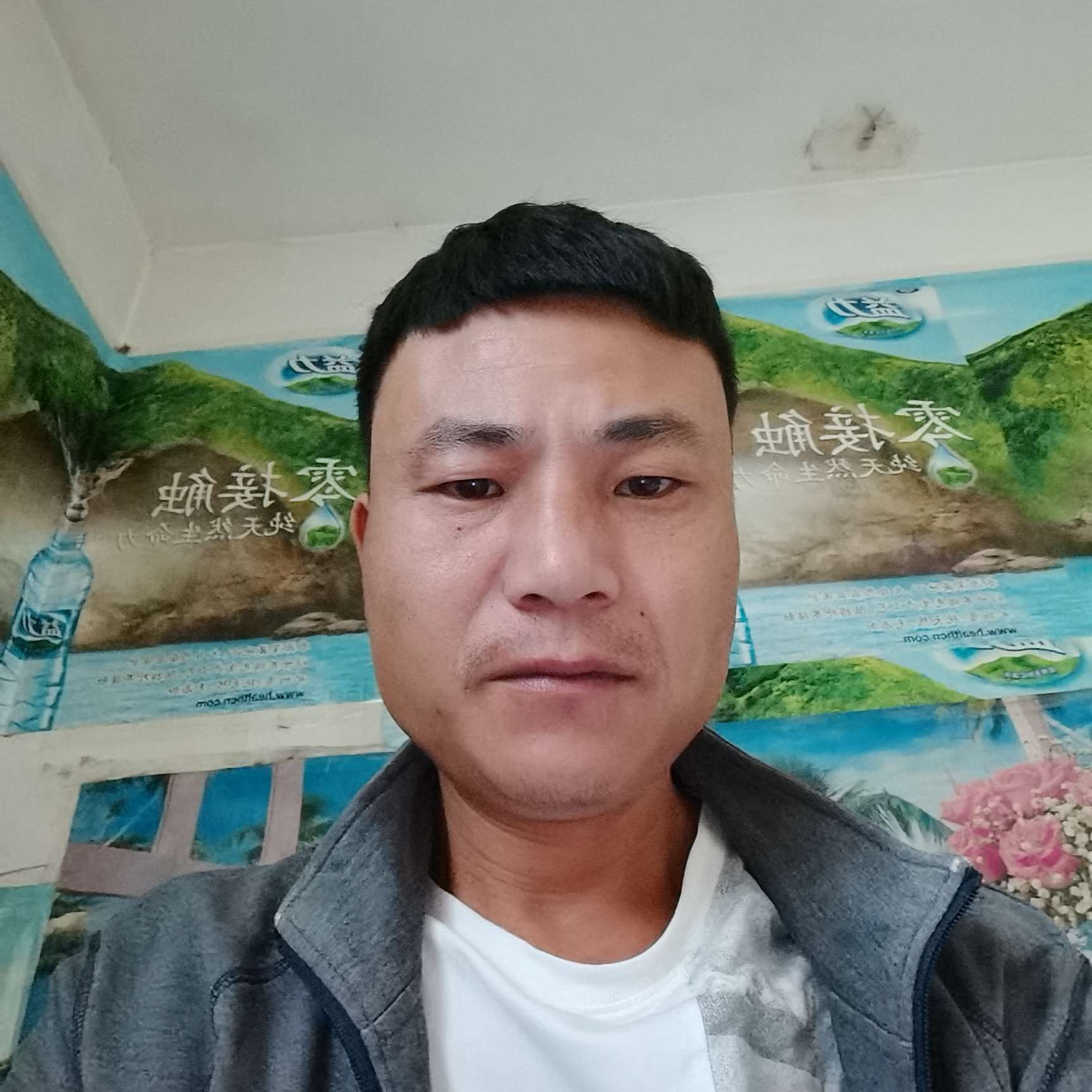 航空停止沉默的照片