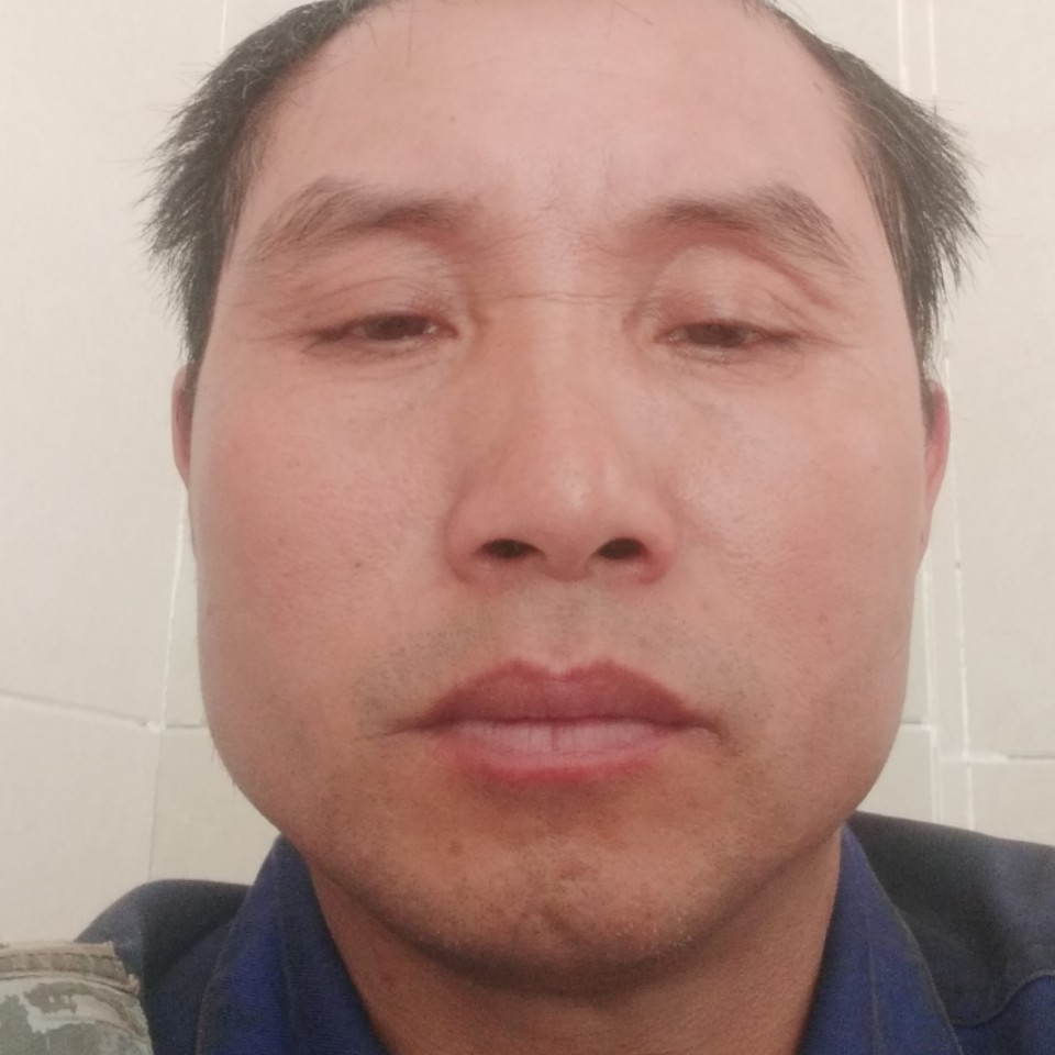 老虎笑不解的的照片
