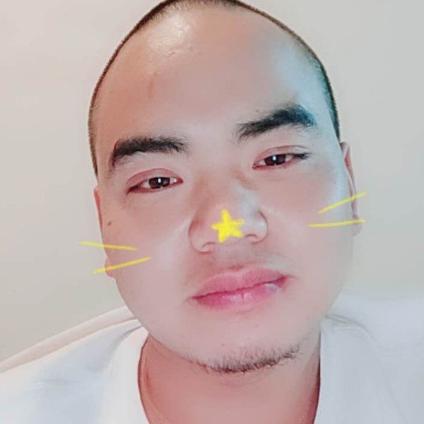热狗蹁跹典雅的照片