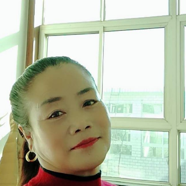 害羞灰狼的照片