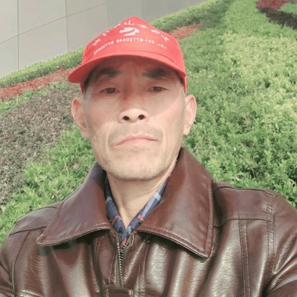 芝麻强健的照片