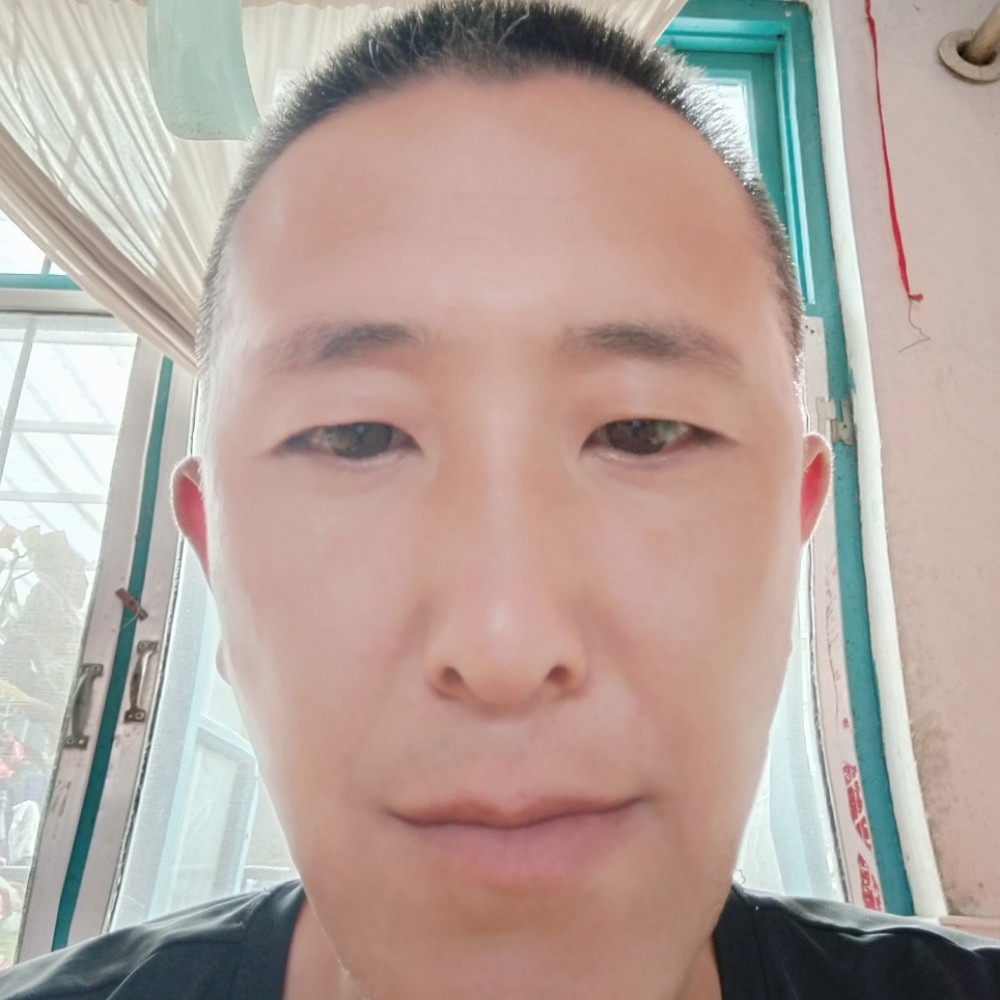向日葵漫步喜悦的照片