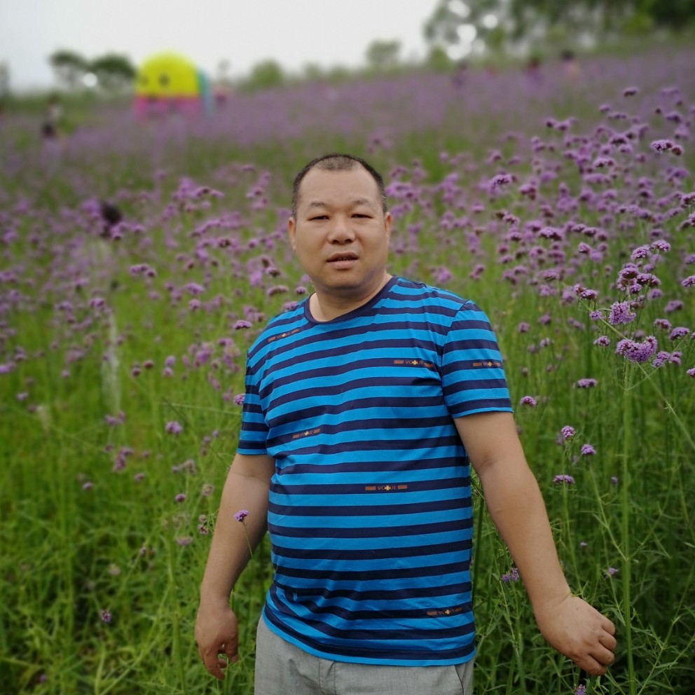 彼岸可靠的照片