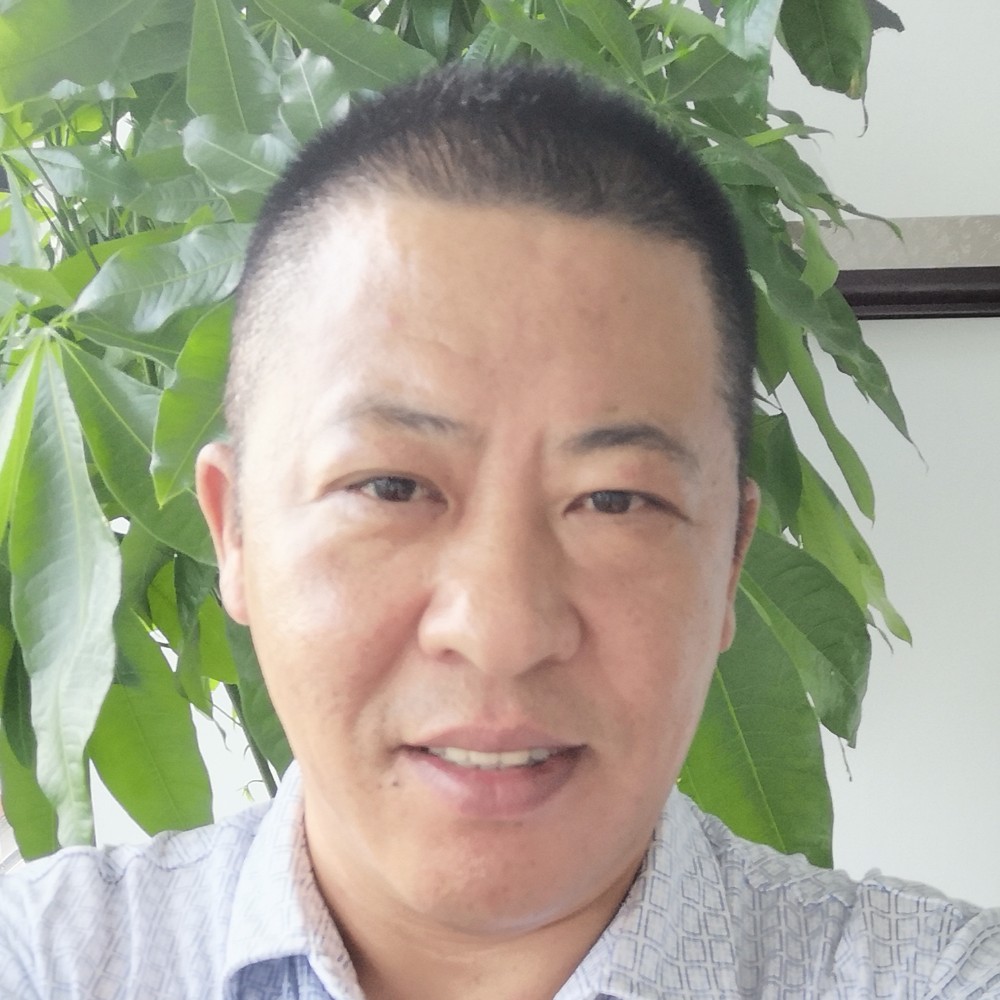 虎门硝烟的照片