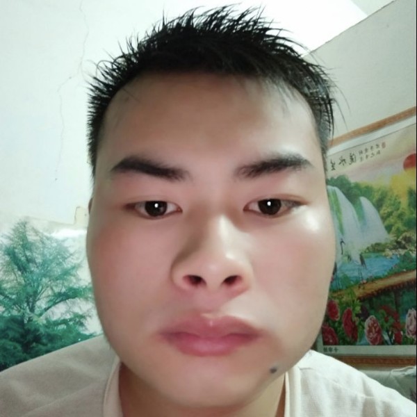包容相许小蘑菇的照片