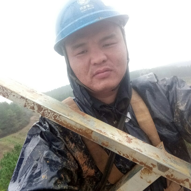 纯情毛巾的照片