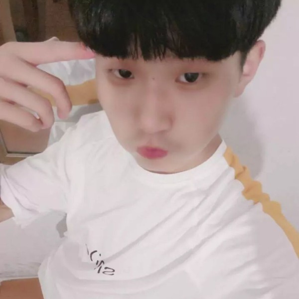 留胡子狗的照片