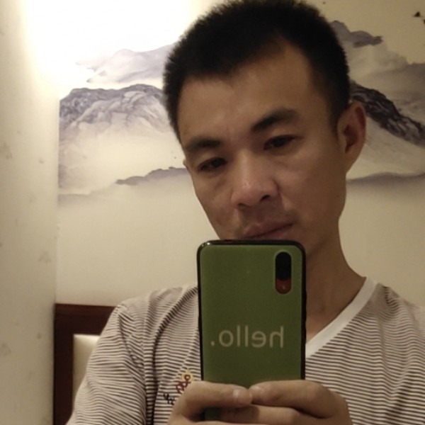 洁净用斑马的照片