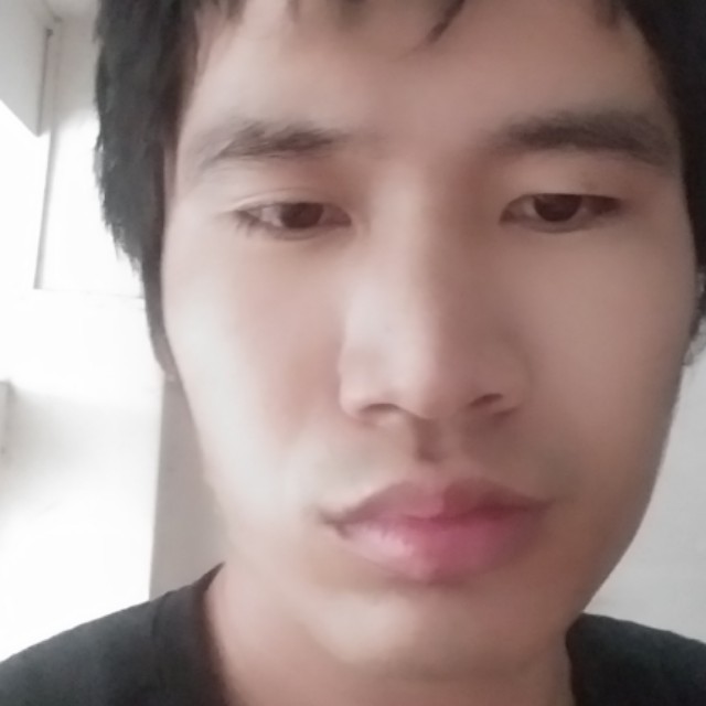 爱情的傻的照片