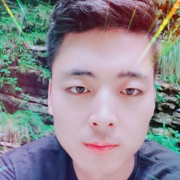 鸭子专注的照片