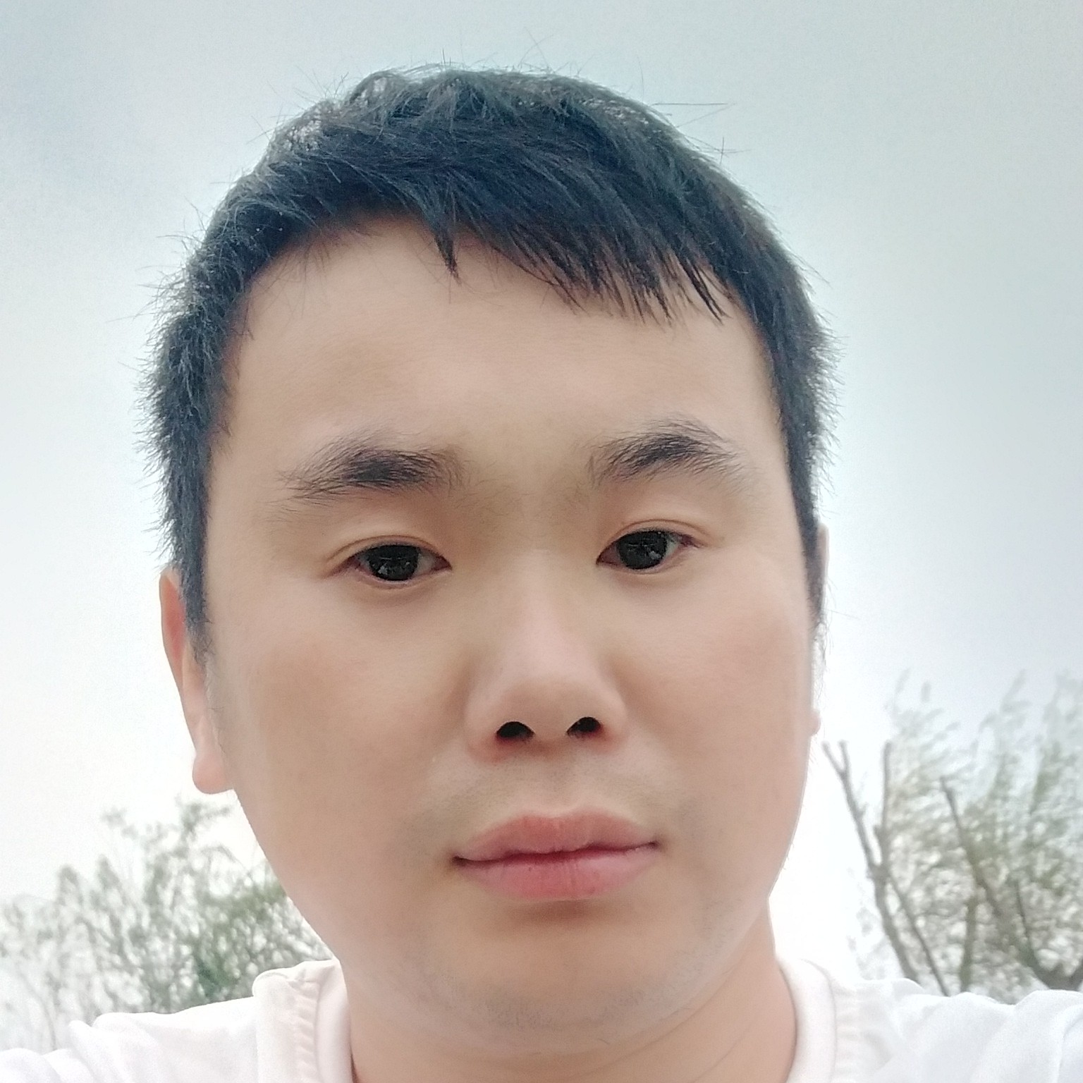 跳跃保卫柜子的照片